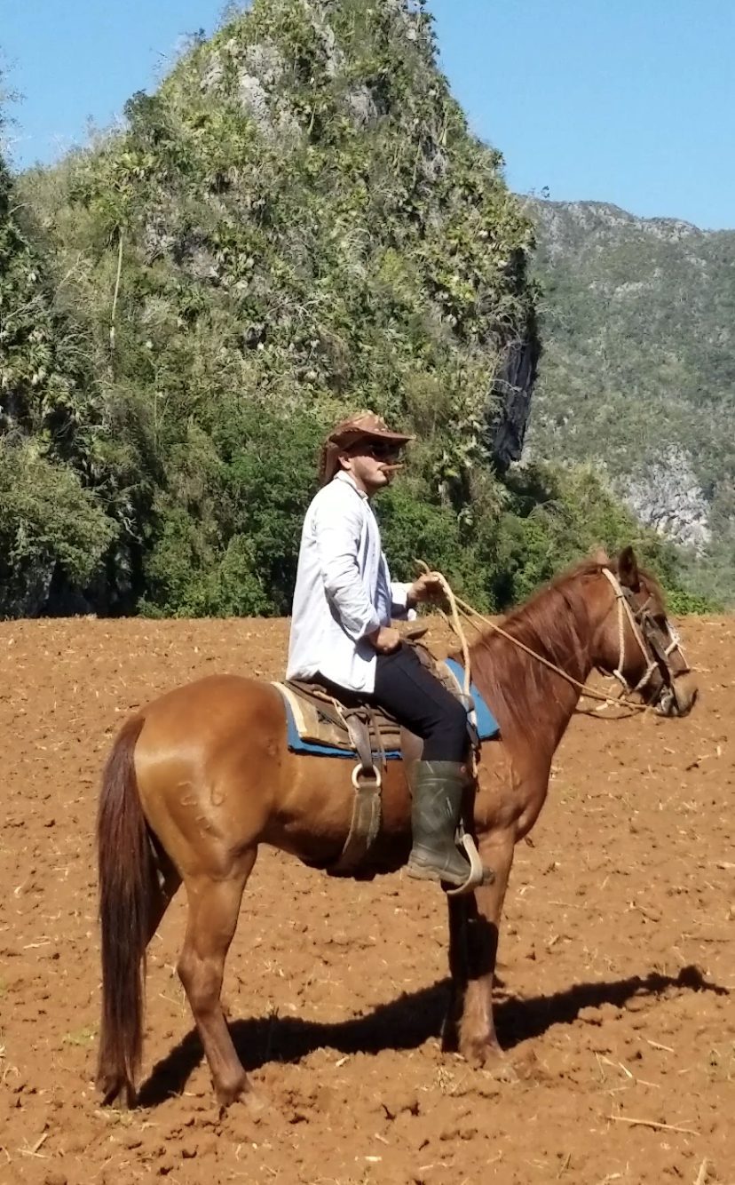 Paseo a Caballo