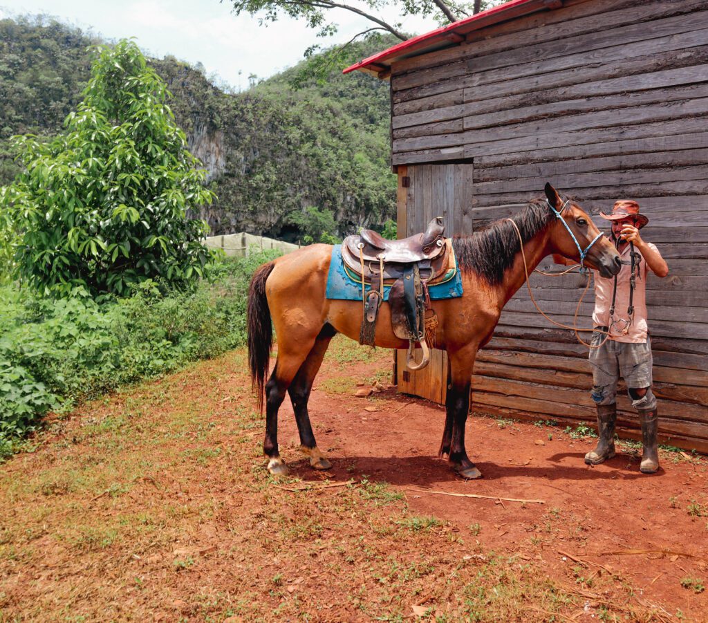 Paseo a Caballo en Viñales